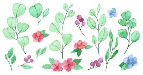 watercolor drawing. set of cute eucalyptus leaves, flowers and berries. simple stylized drawing in pastel colors