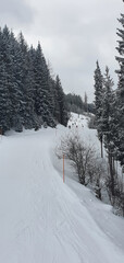 View from the chairlift to the ski runs on a cloudy winter day in Flachau, Austria.
