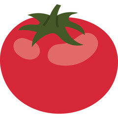 tomato vegetable