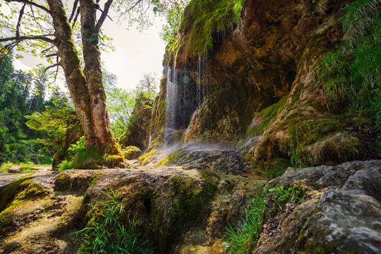 Fr&uuml;hlingsstimmung am Schleierfall in der Ammerschlucht in Bayern am Flussufer mit Blick auf den Wasserfall in der Morgensonne