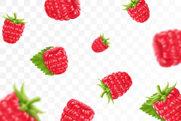 Raspberry background. Flying raspberry with green leaf on transparent background. Raspberry falling from different angles.Focused and blurry objects. 3D realistic vector.