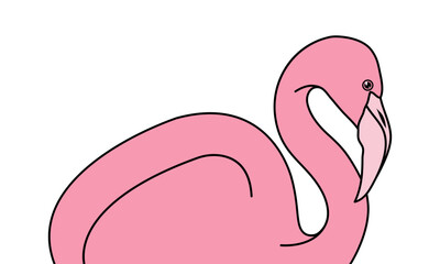 Flamingo Isolated flat illustration