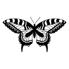 Linear sketch of a winged insect, butterfly.Vector graphics.