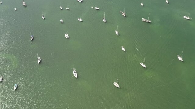 Aerial view of sailing boats along the bay in Miami, Florida, United States.