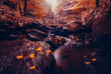 Cedar Falls waterfall from Petit Jean State Park Arkansas during Autumn season with yellow and orange fall colored leaves 