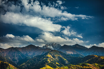Fototapeta premium landscape with clouds