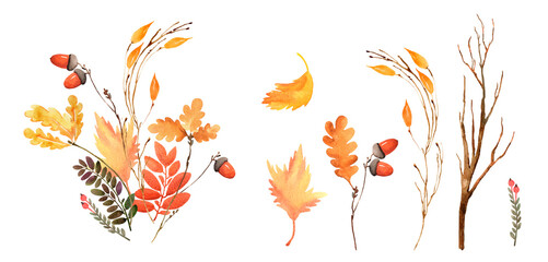 Fall leaves, wildflowers, acorn, herbs boho border painted in watercolor. Dried pampas grass floral bouquet, frame. Botanical boho elements isolated on white. Wedding invitation, greeting, card