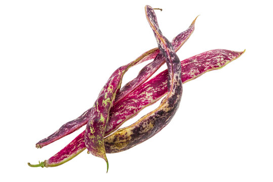 Red bean pod