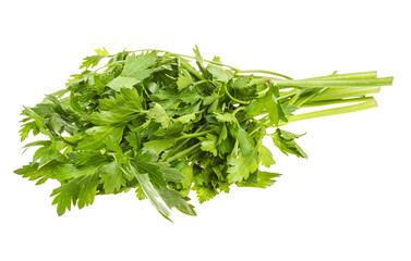 a bunch of parsley on a white background
