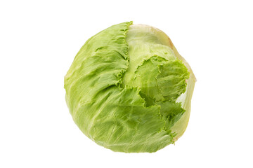 Fototapeta premium Salad Iceberg