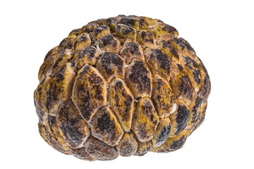 Custard-apple