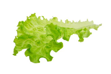 Salad leaves