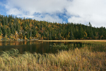 Image from a trip to the Tjuvaaskampen Hill and Western Tjuvaasen Lake, part of the Totenaasen Hills, Norway, in fall. A day with rich autumn colors.