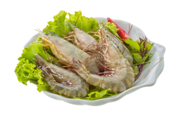 Raw tiger shrimps