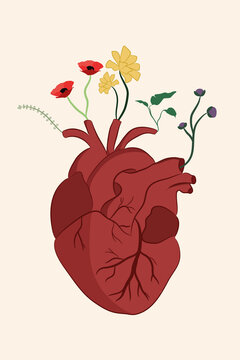 Ilustracion de corazón anatómico del que crecen plantas y flores.