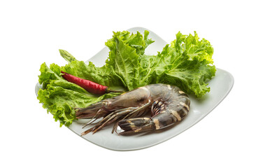 Tiger prawn