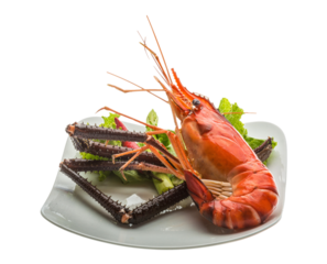 Giant Freshwater Prawn