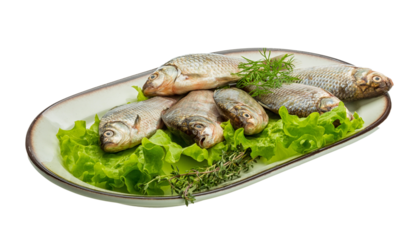 Crucian fish