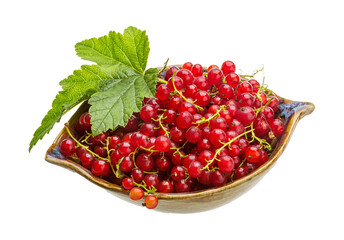 Red currant