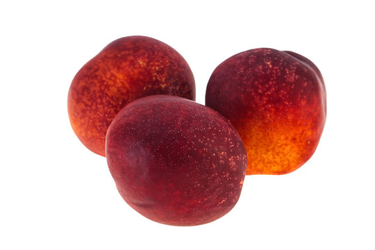 Sweet tasty ripe few nectarines