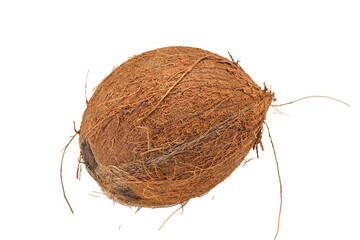 Ripe Coconut isolated on white