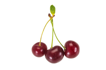 Sweet ripe cherry with leaves