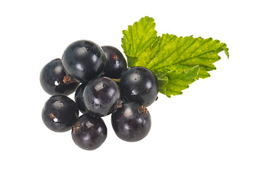 Fresh ripe sweet black currant