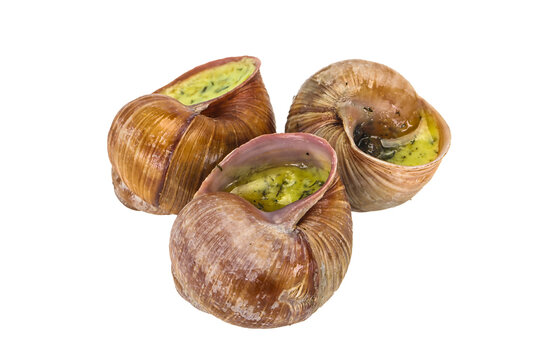 French cuisine - Escargot with sauce