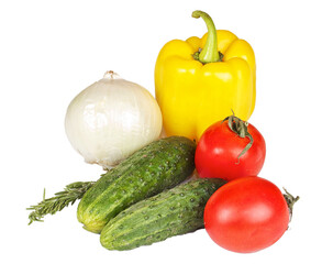 Fresh and juicy vegetables