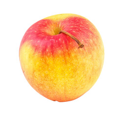 Fresh yellow-red apple