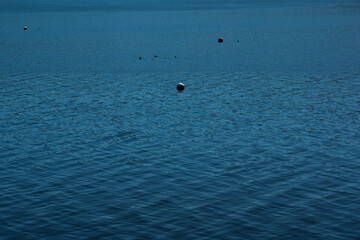 Obraz premium buoy on a calm blue water