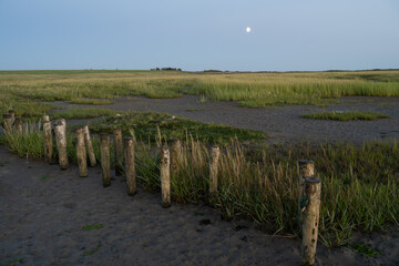 Coastal Grasslands at Night, Denmark - 533201790