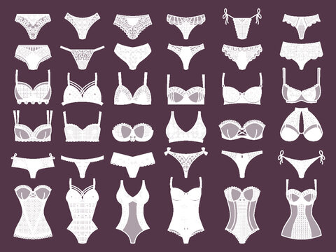 Female lingerie. Decorative panty bikini and fashioned bra for woman recent vector pictures of clothes