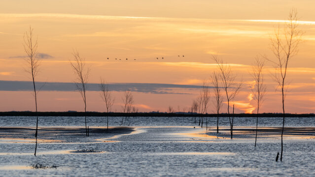 Footpath to Island Mand&oslash; under Water, Denmark
