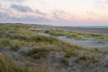 Coastal Dunes in Thy National Park, Denmark - 533201908