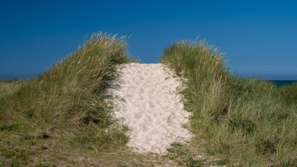 Footpath in the Dunes to the Beach, Denmark - 533201909