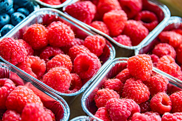 Fresh raspberries in plastic boxes put up for sale in the store