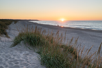 Thorup Beach at Sunset, Denmark - 533202104