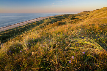 Coastal View from Svinklovene, Denmark - 533202128