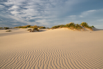 Migrating Coastal Dune Råbjerg Mile, Denmark - 533202374