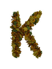 Text Made Out Of Autumn Leafe Typeface K