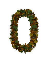 Text Made Out Of Autumn Leafe Typeface O