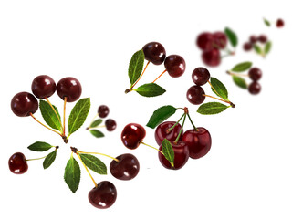 Juicy, tasty, fresh cherry levitate on a white background, healthy diet. Fresh fruits and vegetables