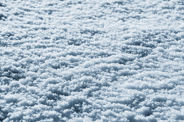 Obraz premium Texture of snow in sunny weather. Snow cover with snow crystals