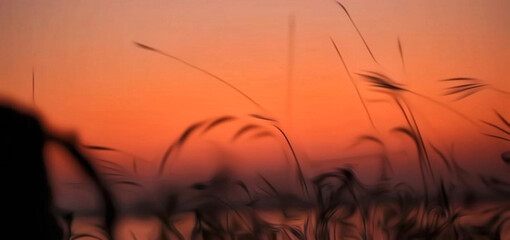 Obraz premium sunset view on the western horizon