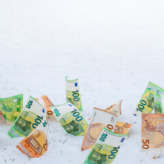 50 Euro banknotes and 100 Euro bills growing in grass. cash money in winter snow. Frozen Euro assets and financial crisis concept. copy Space for text