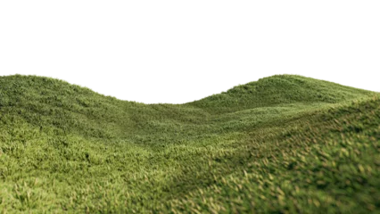 Foto op Aluminium A 3d rendering image of grassed hill nature scenery © ohsuriya