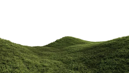 Foto op Plexiglas Een 3D-rendering beeld van met gras begroeide heuvel natuur landschap © ohsuriya