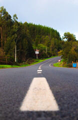 Camino que se aleja o carretera hacia un cerro con un bosque con l&iacute;neas blancas en primer plano en amanecer