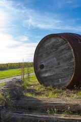 Wooden wine barrel in the vineyarrd